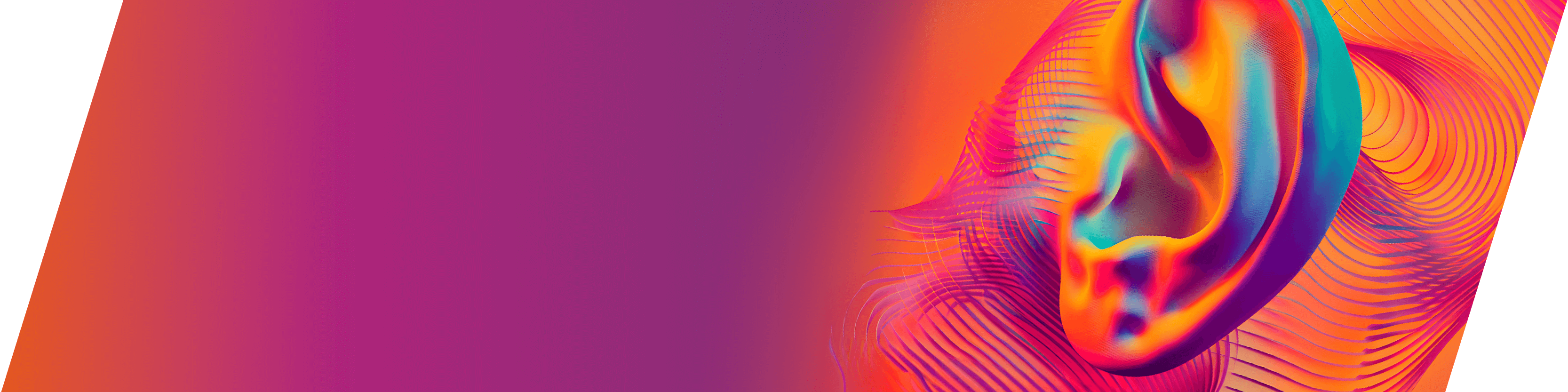 BHA Festival Slider Hintergrund