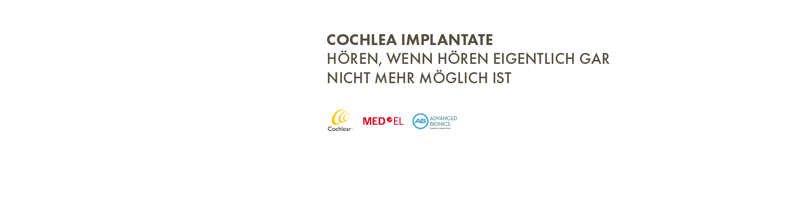 BHA CI Slider Text